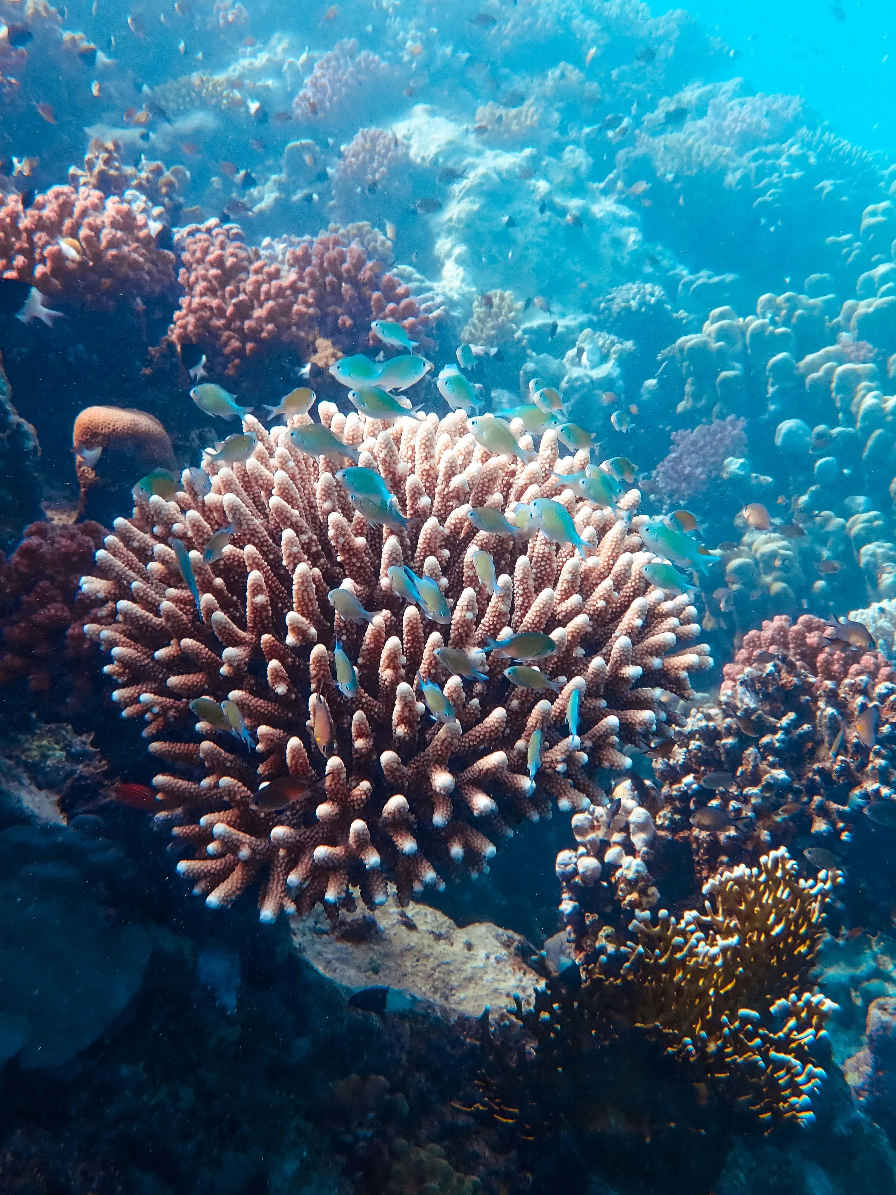 Students in a marine science activity