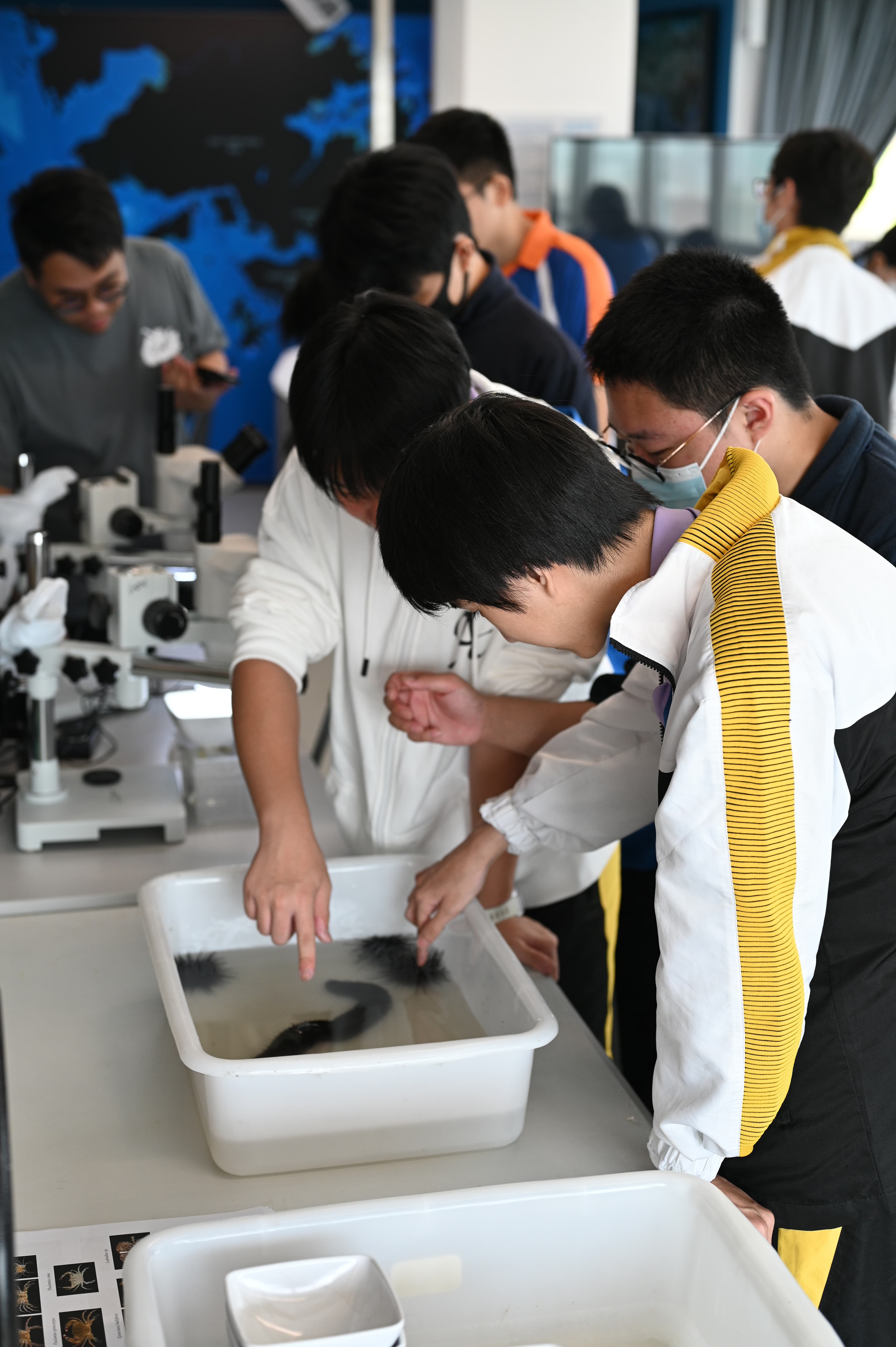 Students observing marine life