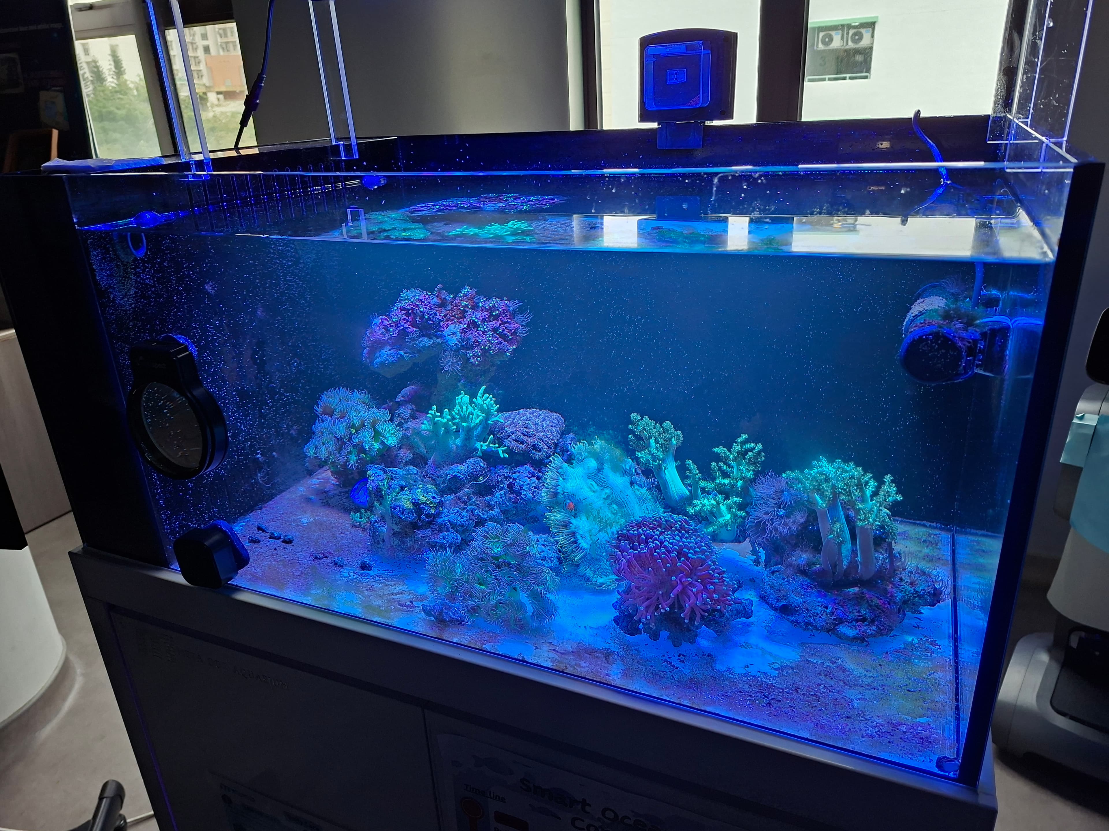 Campus coral tank