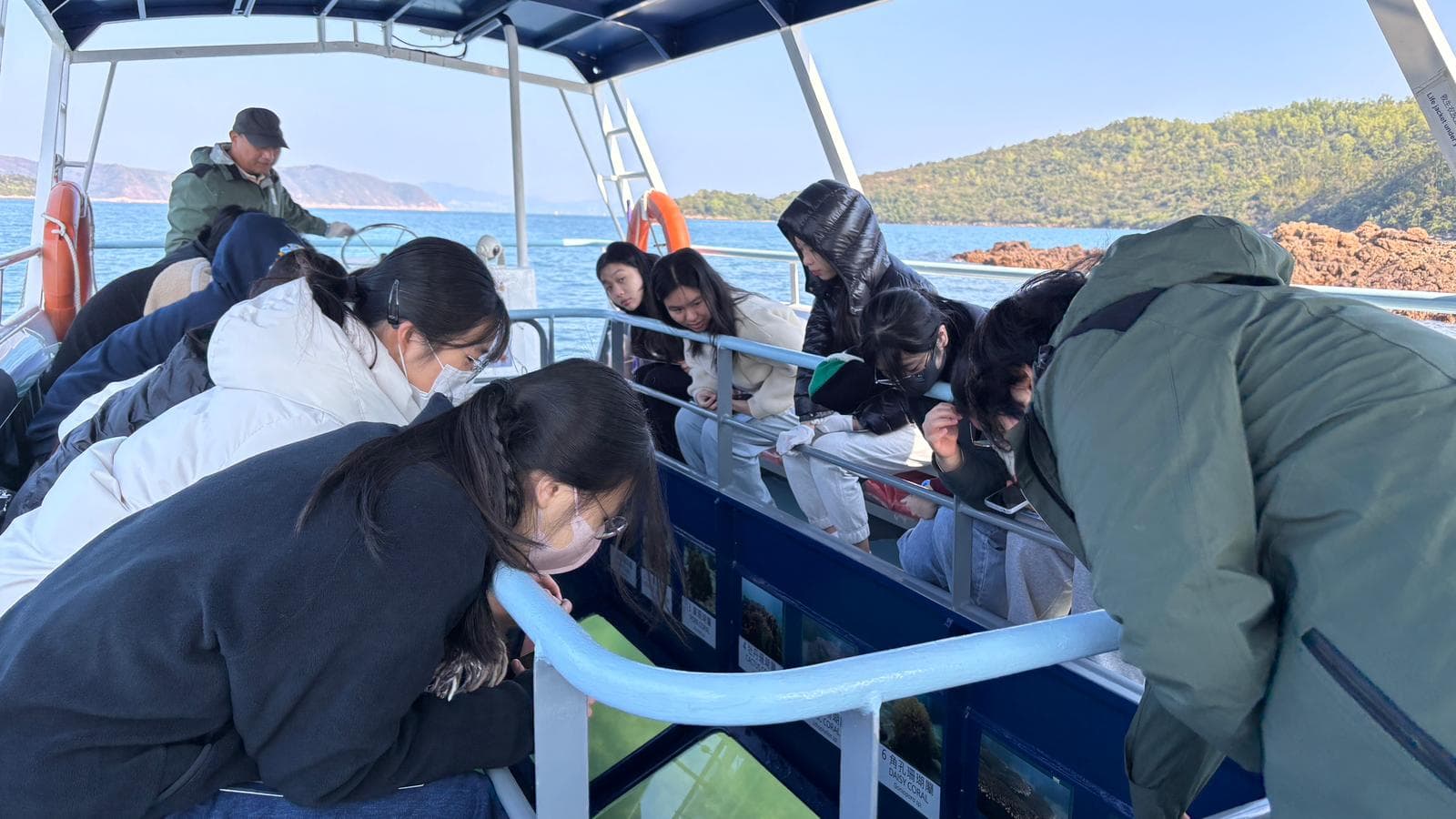 Coral conservation action