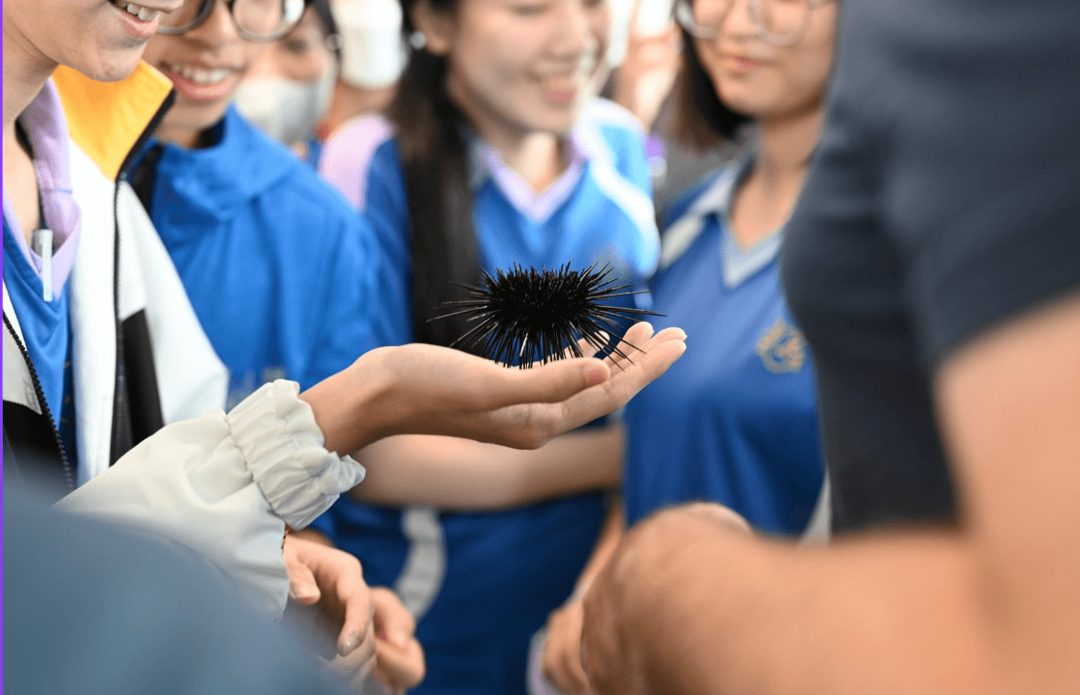 Students observing marine life during an on-site teaching session